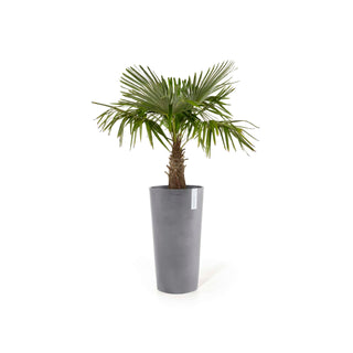 Høye og store potter