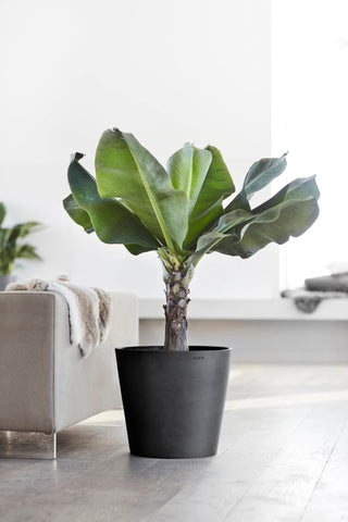 5411942740643_92-Amsterdam-40-Dark-Grey