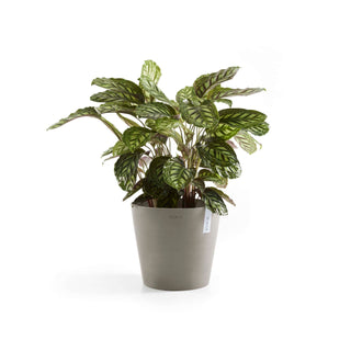 5411942740742_03-Amsterdam-40-Taupe