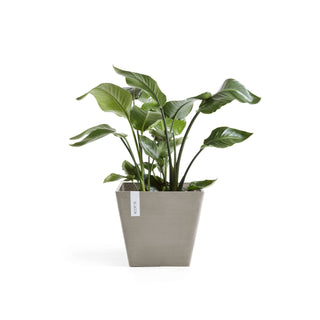 5411942740773_01-Rotterdam-30-Taupe