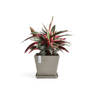 5411942740773_12-Rotterdam-30-Taupe