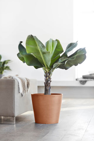 5413724304227_92-Amsterdam-40-Terra