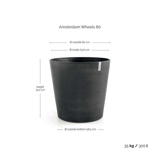 Amsterdam Wheels 80 DG