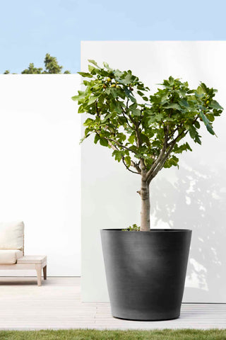 5413724310563_91-Amsterdam-Wheels-80-Dark-Grey