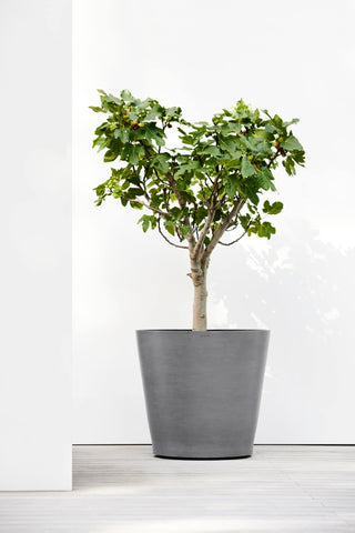 5413724310570_90-Amsterdam-Wheels-80-Grey