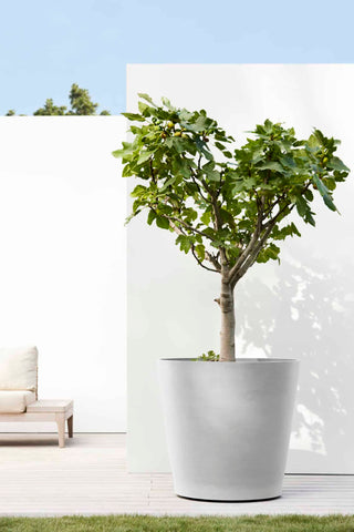 5413724310594_91-Amsterdam-Wheels-80-White-Grey