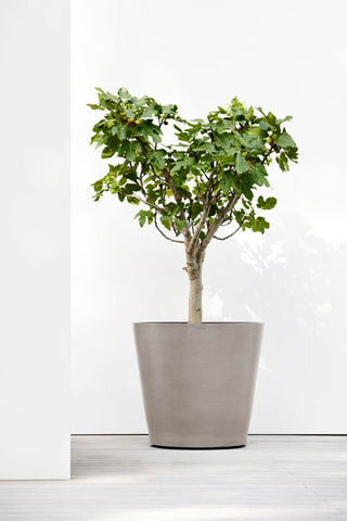 5413724313335_90-Amsterdam-Wheels-80-Taupe