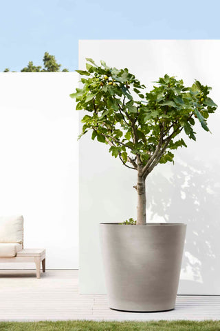 5413724313335_91-Amsterdam-Wheels-80-Taupe