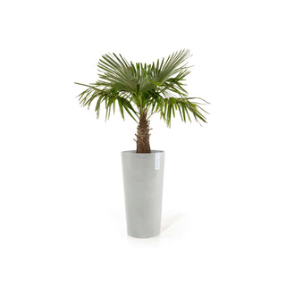 5413724316305_02-Amsterdam-Mid-High-66-White-Grey