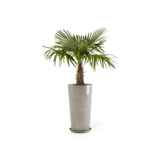 5413724316343_12-Amsterdam-High-76-Taupe