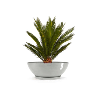 5413724316480_11-Vienna-70-White-Grey