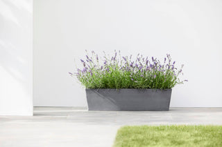 5413724316626_90-Bruges-80-Grey