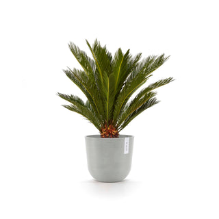 5413724316916_03-Oslo-25-White-Grey