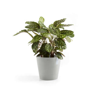 5413724317876_03-Amsterdam-40-Water-Reservoir-White-Grey