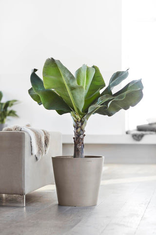 5413724317906_92-Amsterdam-40-Water-Reservoir-Taupe