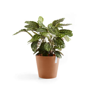 5413724317913_03-Amsterdam-40-Water-Reservoir-Terra-Cotta