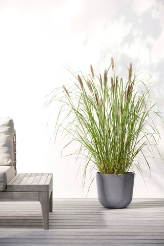 5413724318064_90-Oslo-25-Water-Reservoir-Grey