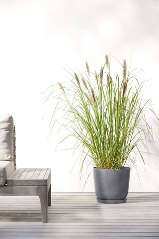 5413724318064_91-Oslo-25-Water-Reservoir-Grey