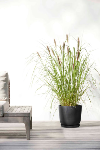 5413724318071_91-Oslo-25-Water-Reservoir-Dark-Grey