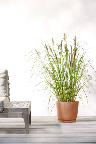 5413724318095_91-Oslo-25-Water-Reservoir-Terra