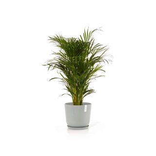 5413724318118_12-Oslo-35-Water-Reservoir-White-Grey