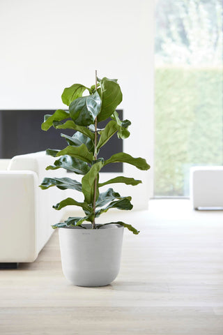 5413724318118_92-Oslo-35-Water-Reservoir-White-Grey