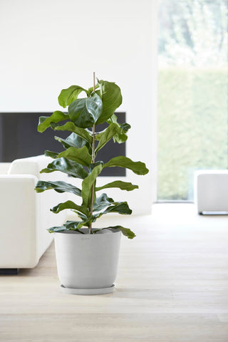 5413724318118_93-Oslo-35-Water-Reservoir-White-Grey