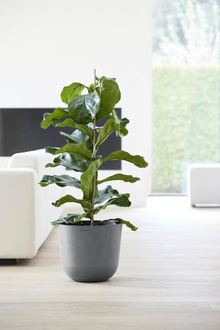 5413724318125_92-Oslo-35-Water-Reservoir-Grey