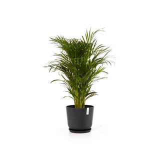 5413724318132_12-Oslo-35-Water-Reservoir-Dark-Grey