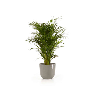 5413724318149_02-Oslo-35-Water-Reservoir-Taupe