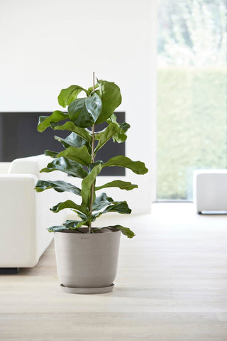 5413724318149_93-Oslo-35-Water-Reservoir-Taupe