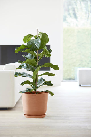 5413724318156_93-Oslo-35-Water-Reservoir-Terra