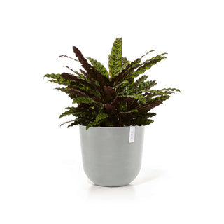 5413724318170_02-Oslo-45-Water-Reservoir-White-Grey