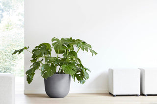 5413724318187_92-Oslo-45-Water-Reservoir-Grey