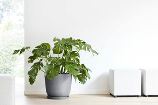 5413724318187_93-Oslo-45-Water-Reservoir-Grey