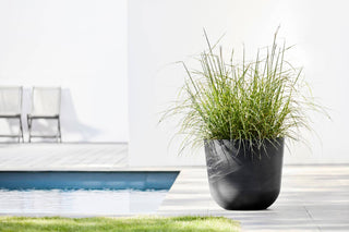 5413724318194_91-Oslo-45-Water-Reservoir-Dark-Grey