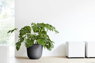 5413724318194_92-Oslo-45-Water-Reservoir-Dark-Grey