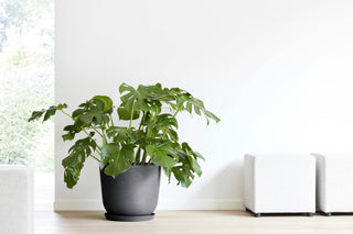 5413724318194_93-Oslo-45-Water-Reservoir-Dark-Grey