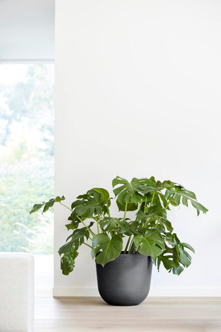 5413724318194_94-Oslo-45-Water-Reservoir-Dark-Grey