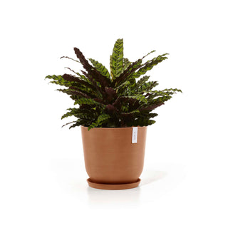 5413724318217_12-Oslo-45-Water-Reservoir-Terra-Cotta