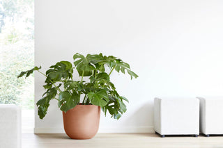 5413724318217_92-Oslo-45-Water-Reservoir-Terra