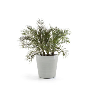 5413724325369_01-Amsterdam-Wheels-100-White-grey