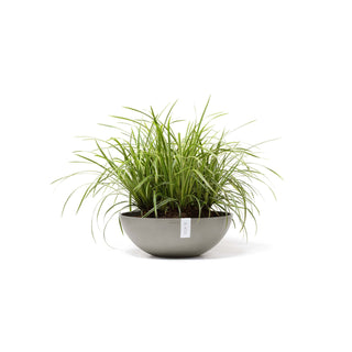 5413724325673_01-Vienna-50-Taupe