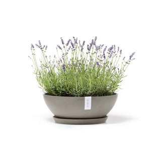 5413724325673_12-Vienna-50-Taupe