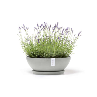 5413724325680_12-Vienna-50-White-Grey