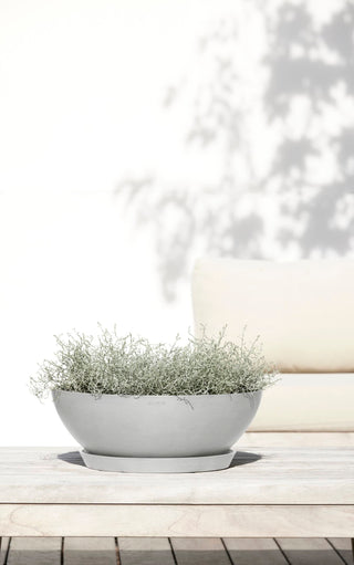 5413724325680_91-Vienna-50-White-Grey