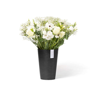 5413724325895_01-Pisa-21-Dark-Grey