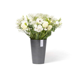 5413724325925_01-Pisa-21-Grey