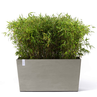 5413724326205_01-Paris-Wheels-100-Taupe