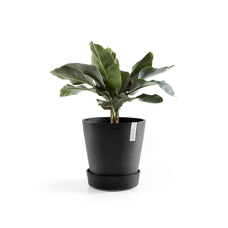 5413724326465_03-Saucer-Wheels-30-Dark-Grey